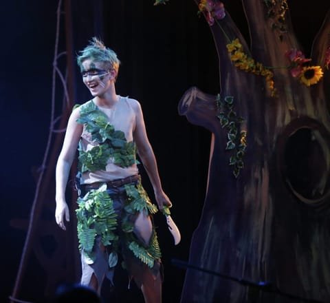 Peter Pan — Lighting design