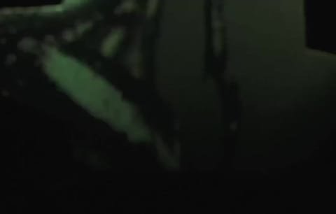 Metamorphosis — show reel, play video